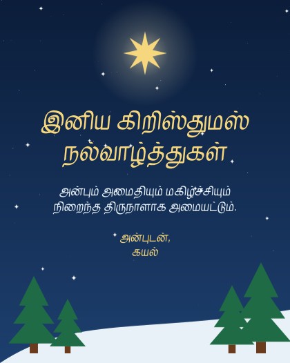 கிறிஸ்துமஸ் · விண்மீன்