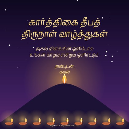 கார்த்திகை · மலை தீபம்