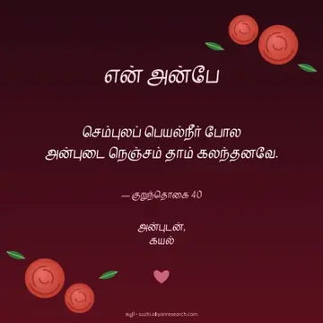 அன்பு · ரோஜாக்கள்
