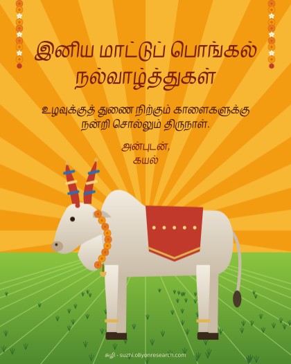 மாட்டுப் பொங்கல்