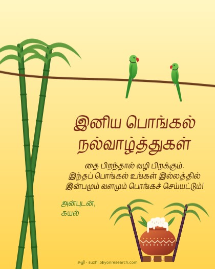 பொங்கல் · கிளிகள்