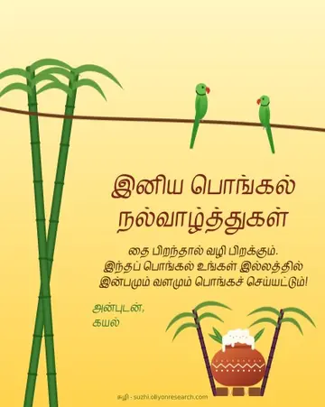 Pongal · Parrots
